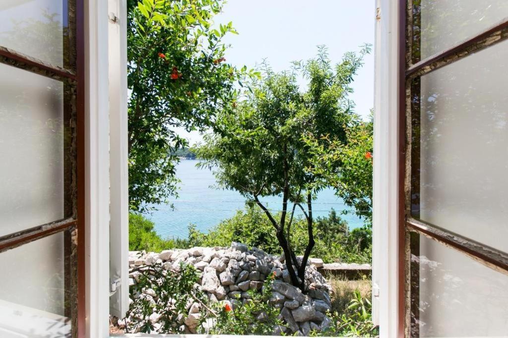 Guest House Simunovic Sudurad Ngoại thất bức ảnh